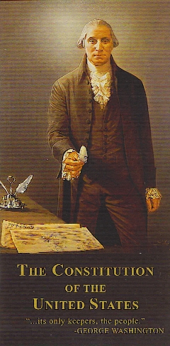Pocket Constitution